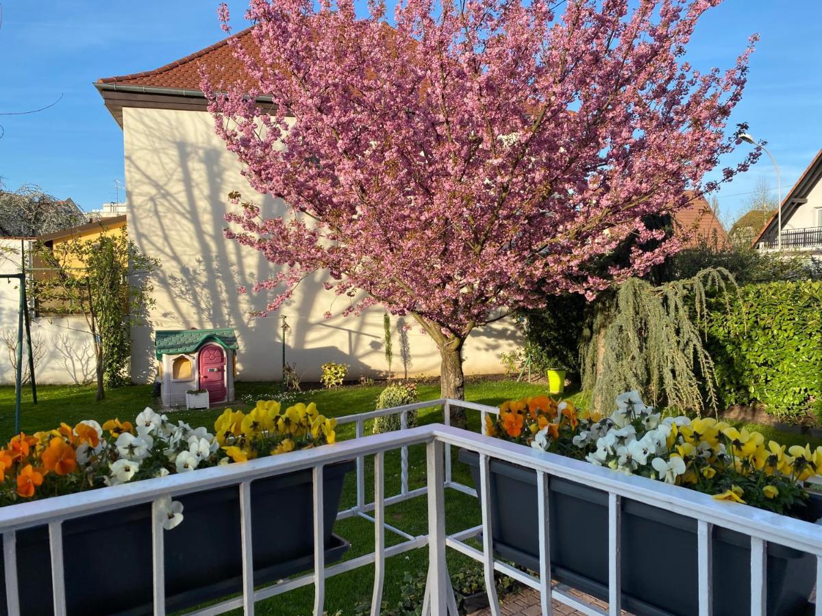 Appartement Le Jardin Lingolsheim Esterno foto