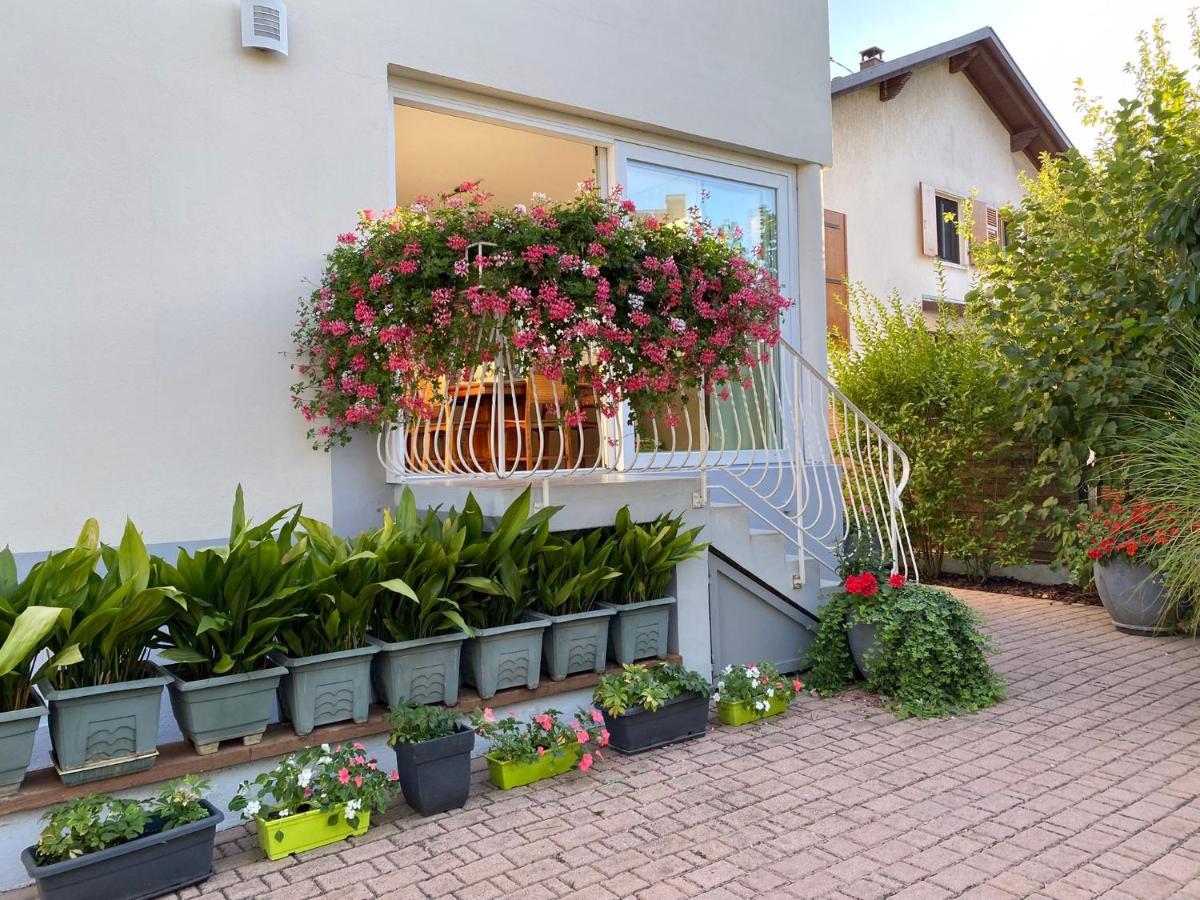 Appartement Le Jardin Lingolsheim Esterno foto