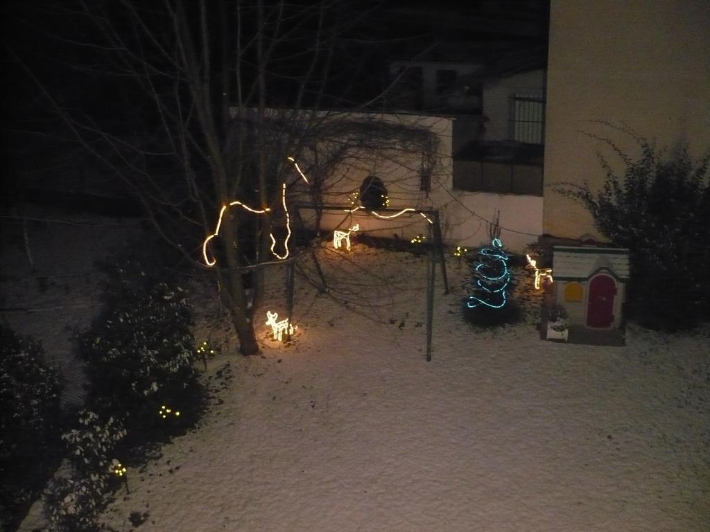 Appartement Le Jardin Lingolsheim Camera foto