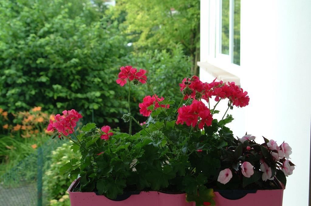 Appartement Le Jardin Lingolsheim Camera foto