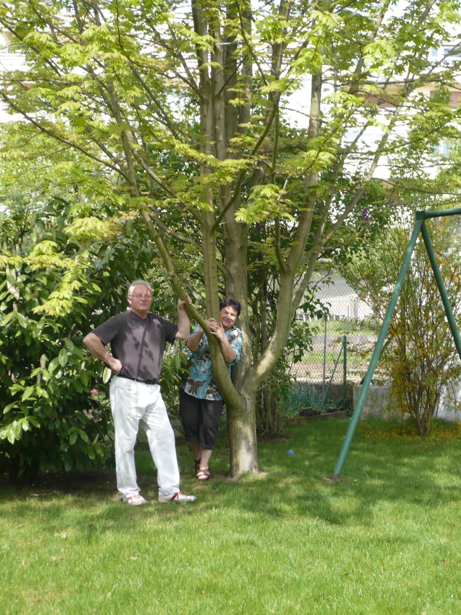 Appartement Le Jardin Lingolsheim Esterno foto