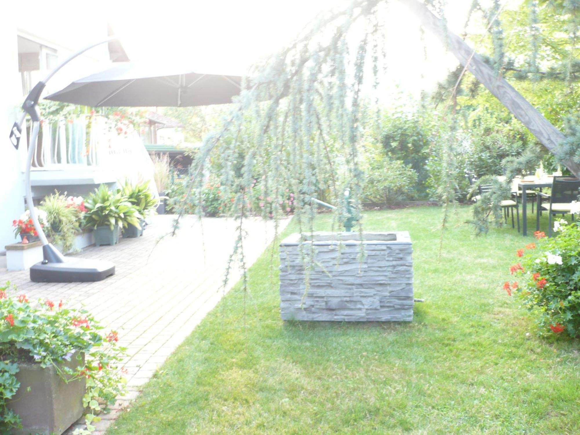 Appartement Le Jardin Lingolsheim Esterno foto