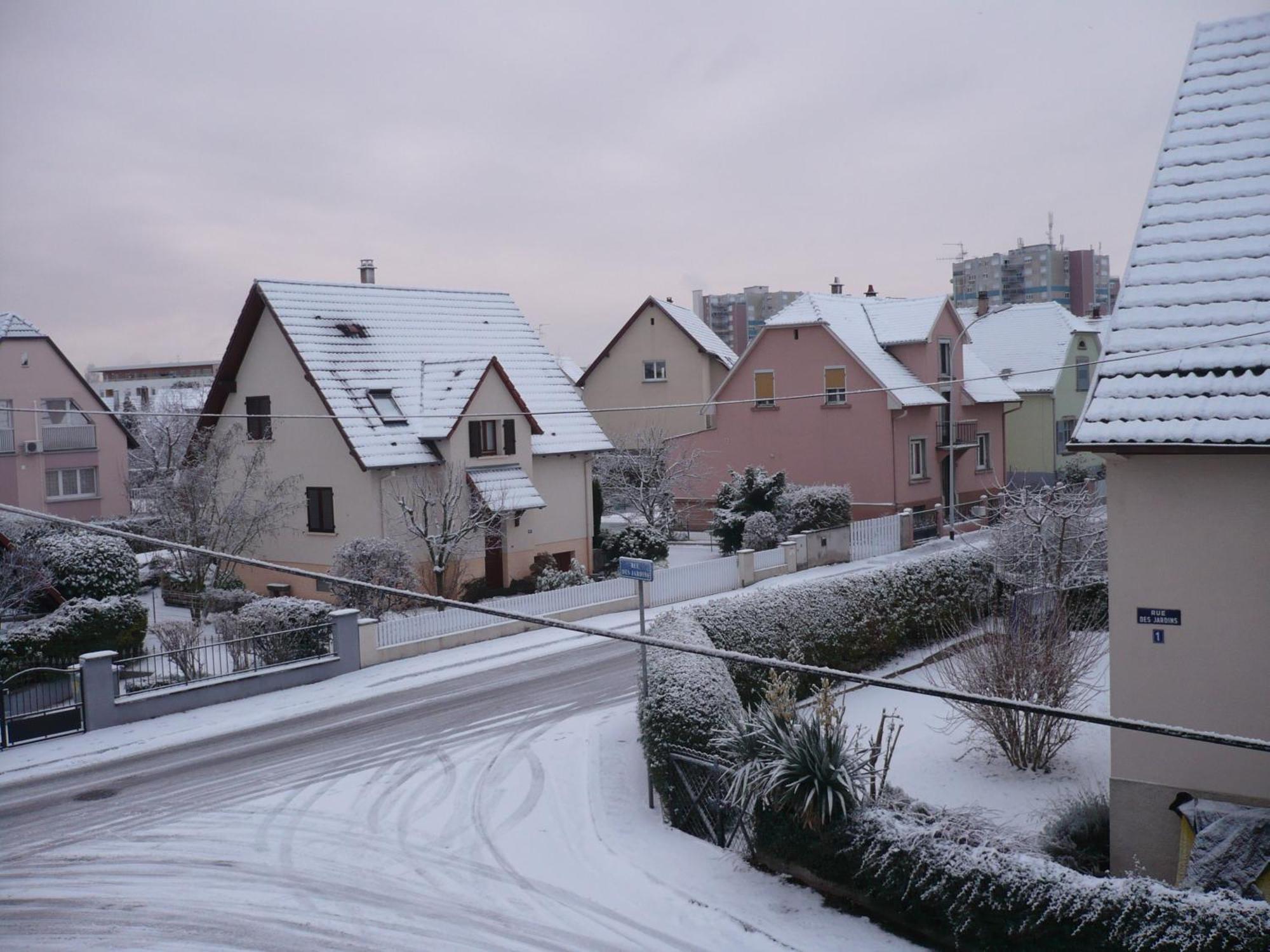 Appartement Le Jardin Lingolsheim Esterno foto