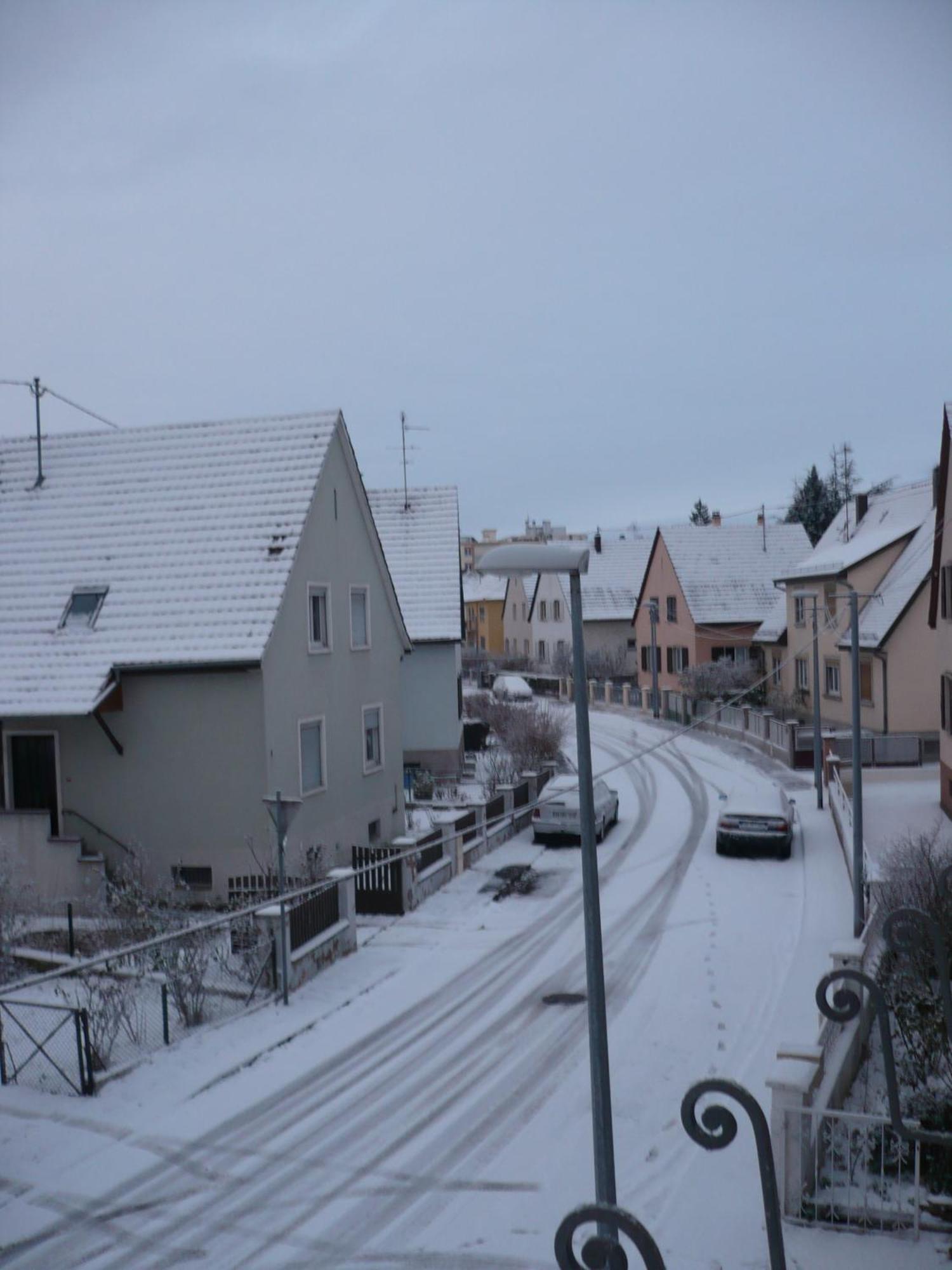 Appartement Le Jardin Lingolsheim Esterno foto