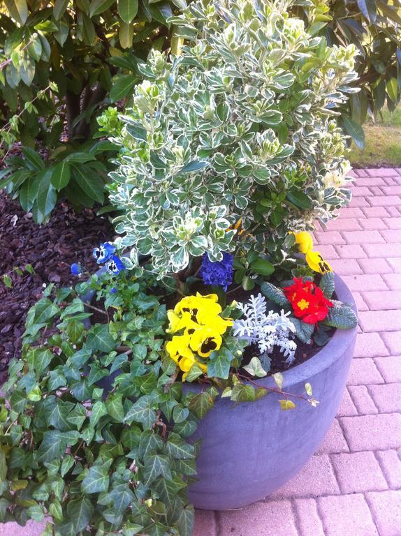 Appartement Le Jardin Lingolsheim Esterno foto